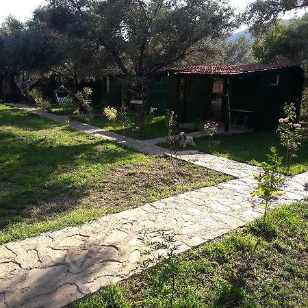 My Bungalov Mesudiye  Kültér fotó